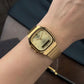 CASIO - AQ-240EG-9A